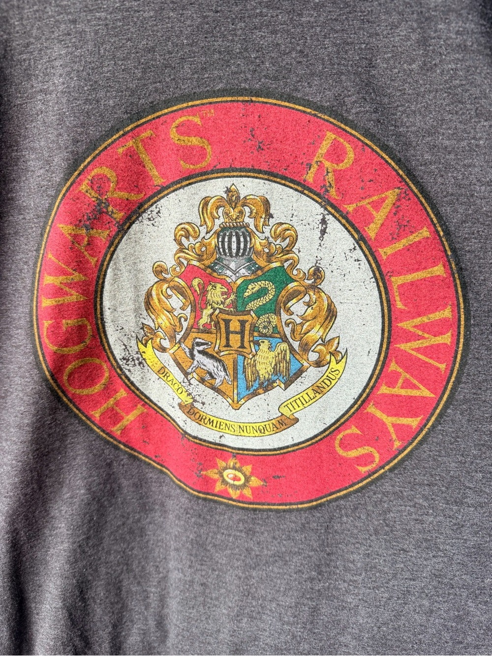 Harry Potter Warner Bros Studio Tour Hogwarts Crest Graphic Tee Adult XL Gray
